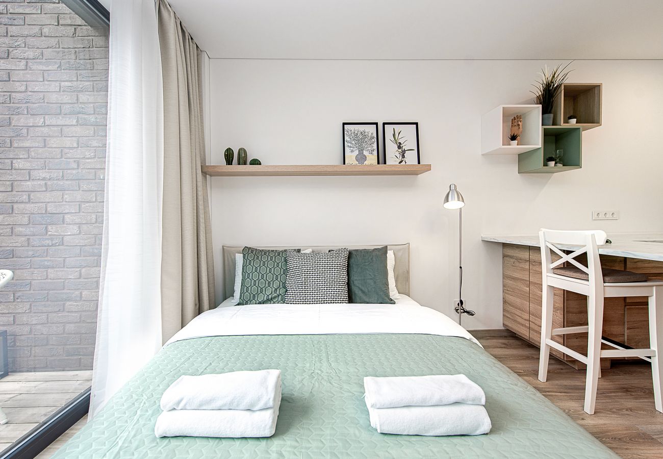 Leilighet i Vilnius - Paupys Central Apartment 157