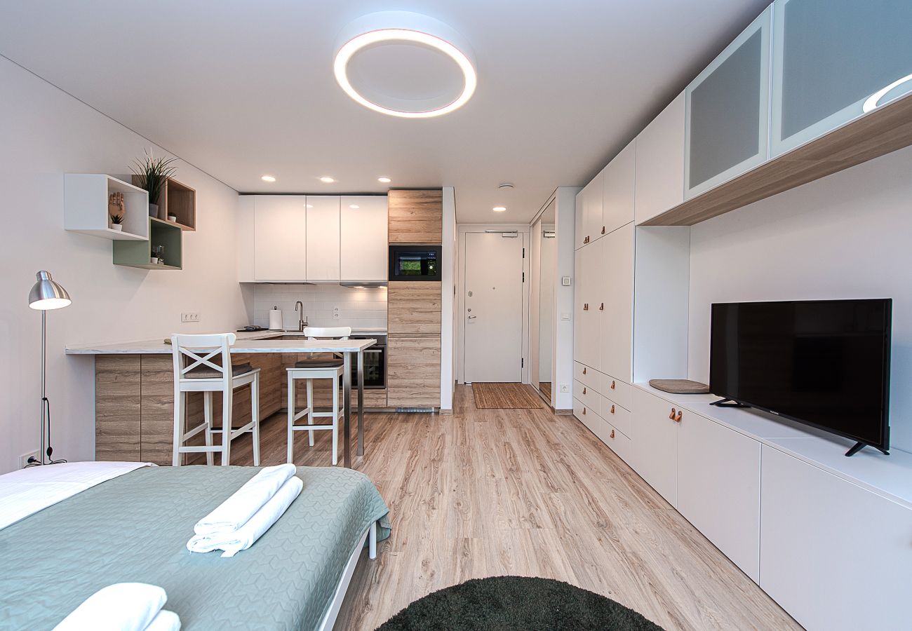 Leilighet i Vilnius - Paupys Central Apartment 157