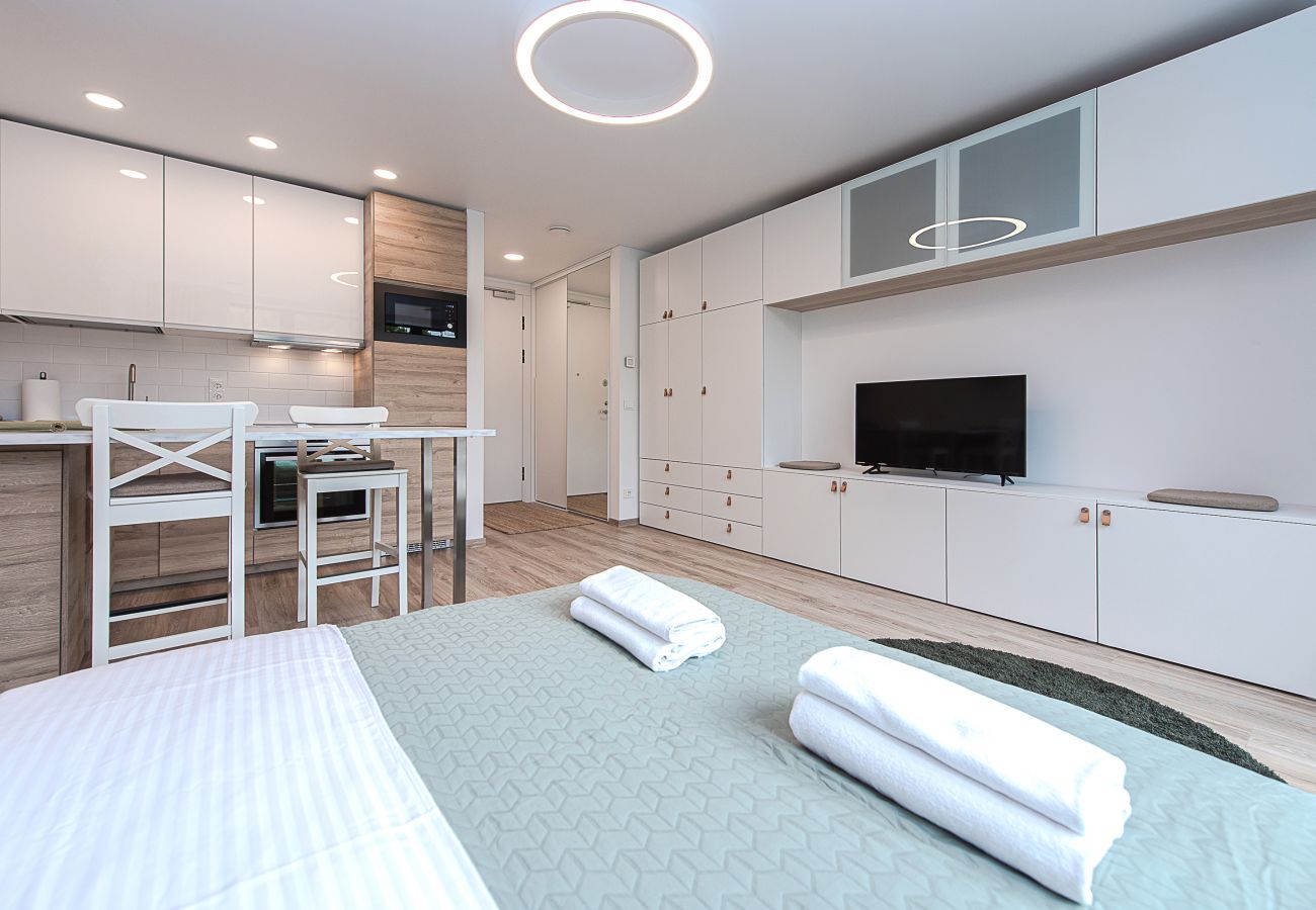 Leilighet i Vilnius - Paupys Central Apartment 157