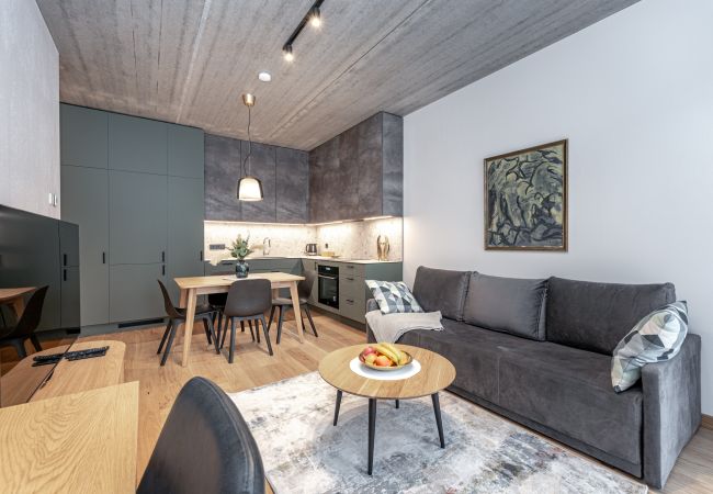 Leilighet i Vilnius - White Lotus Apartment 3