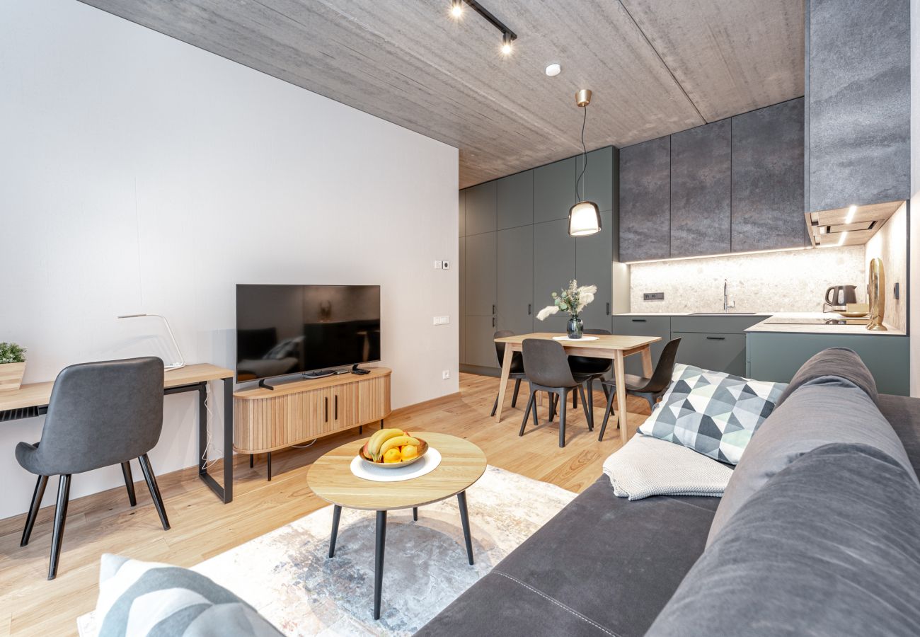 Leilighet i Vilnius - White Lotus Apartment 3