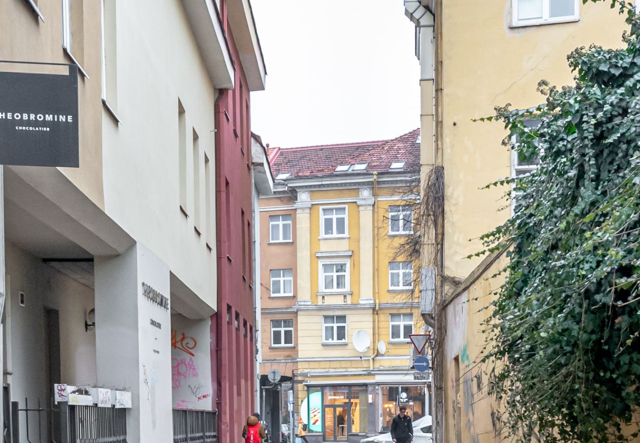 Leilighet i Vilnius - Historic Bliss in Vilnius Old Town