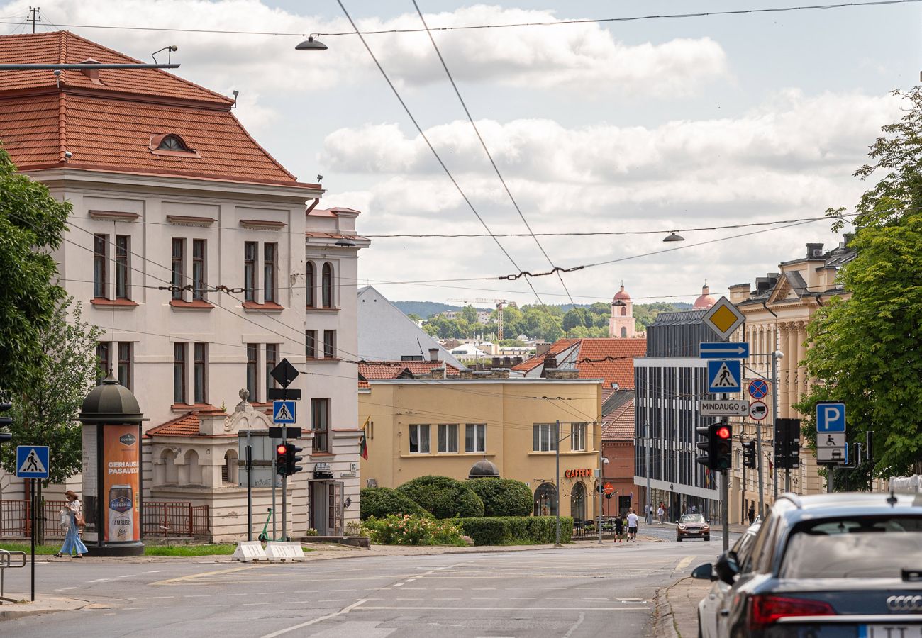 Leilighet i Vilnius - Spacious Apartment in Vilnius Old Town