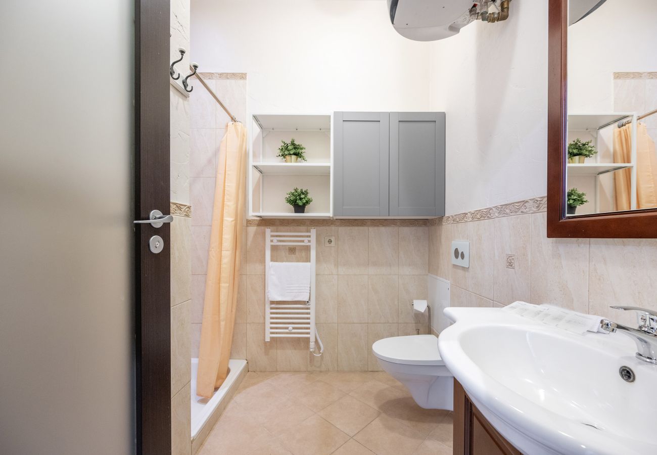 Leilighet i Vilnius - Spacious Apartment in Vilnius Old Town