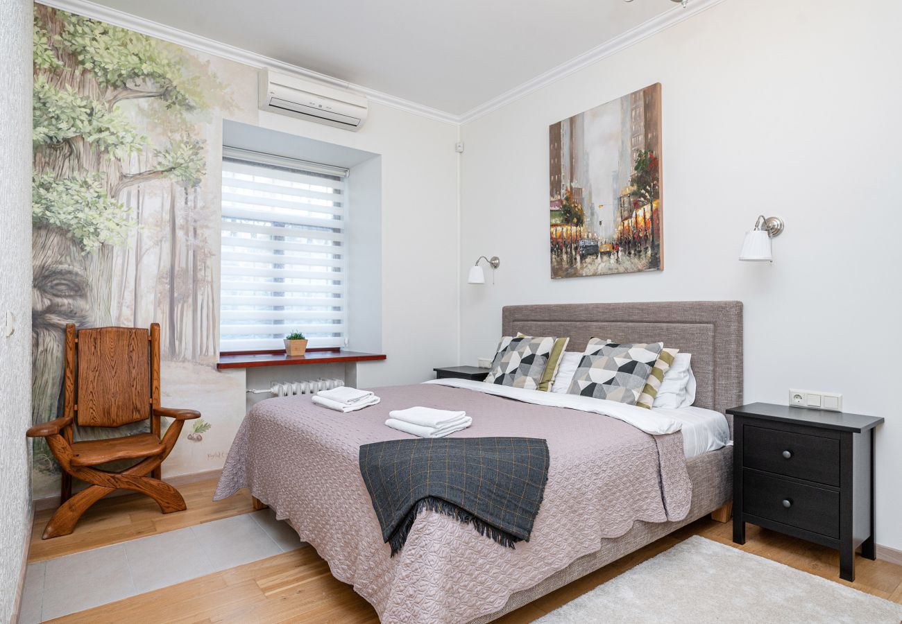 Leilighet i Vilnius - Spacious Apartment in Vilnius Old Town
