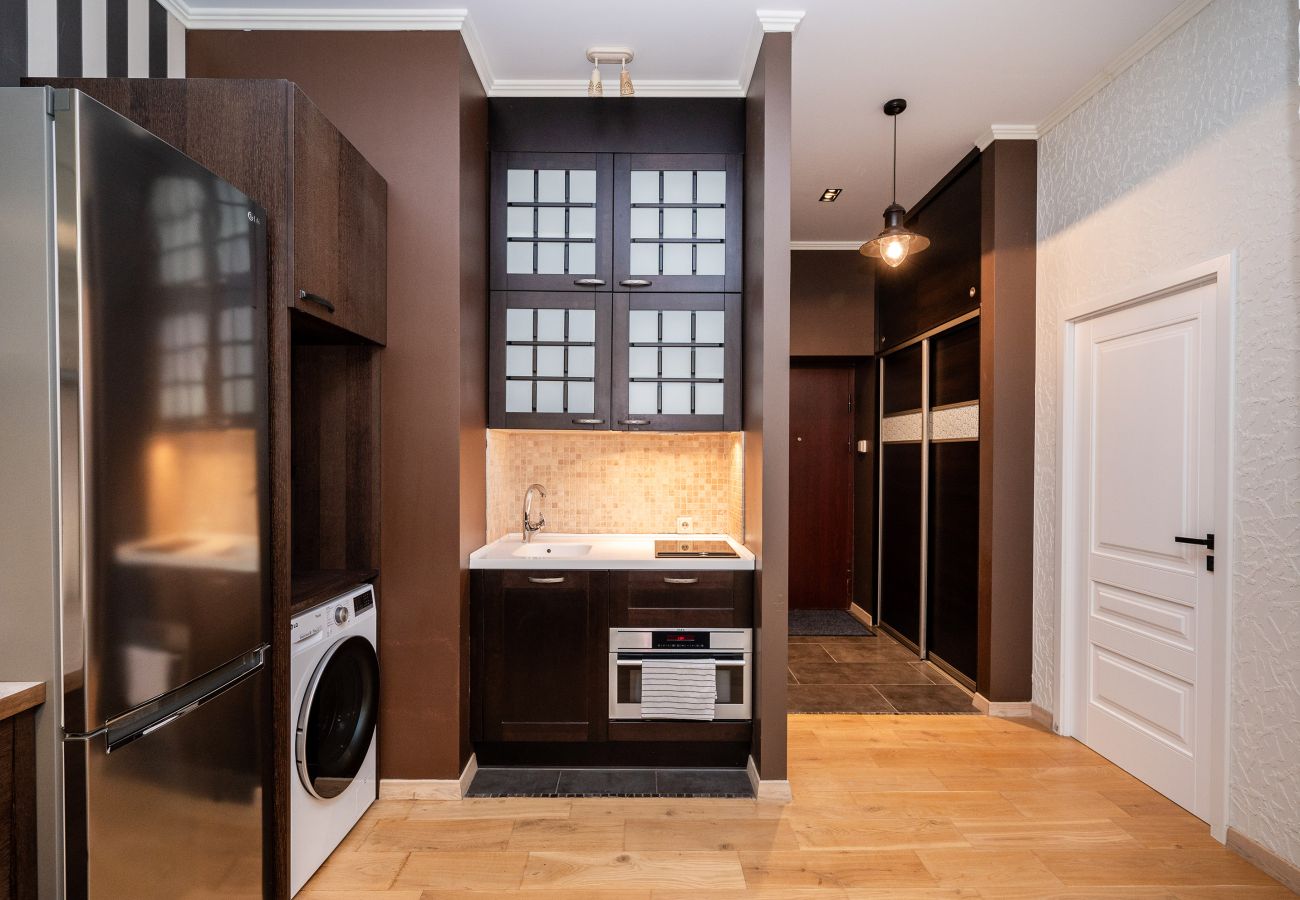 Leilighet i Vilnius - Spacious Apartment in Vilnius Old Town