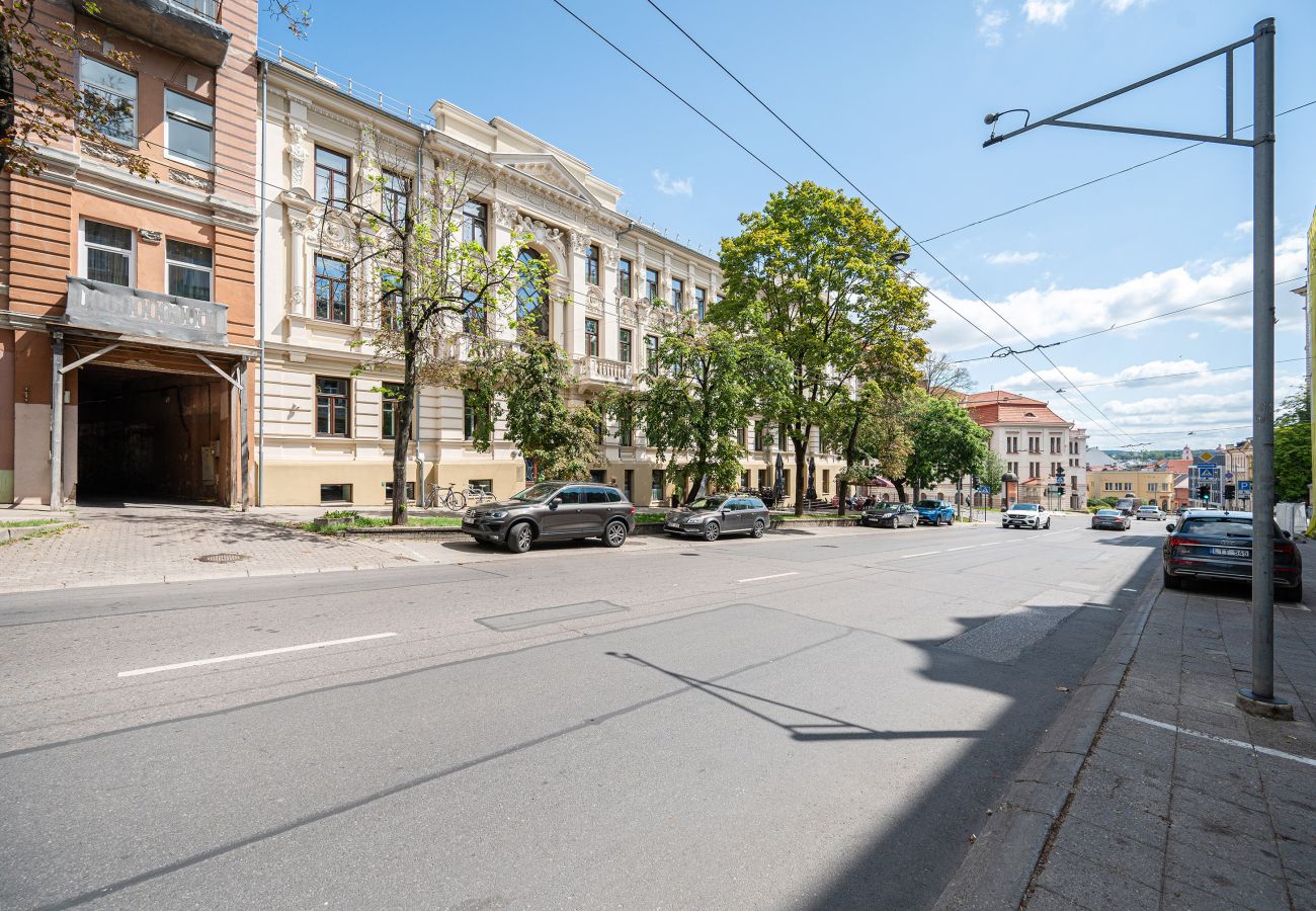 Leilighet i Vilnius - Spacious Apartment in Vilnius Old Town