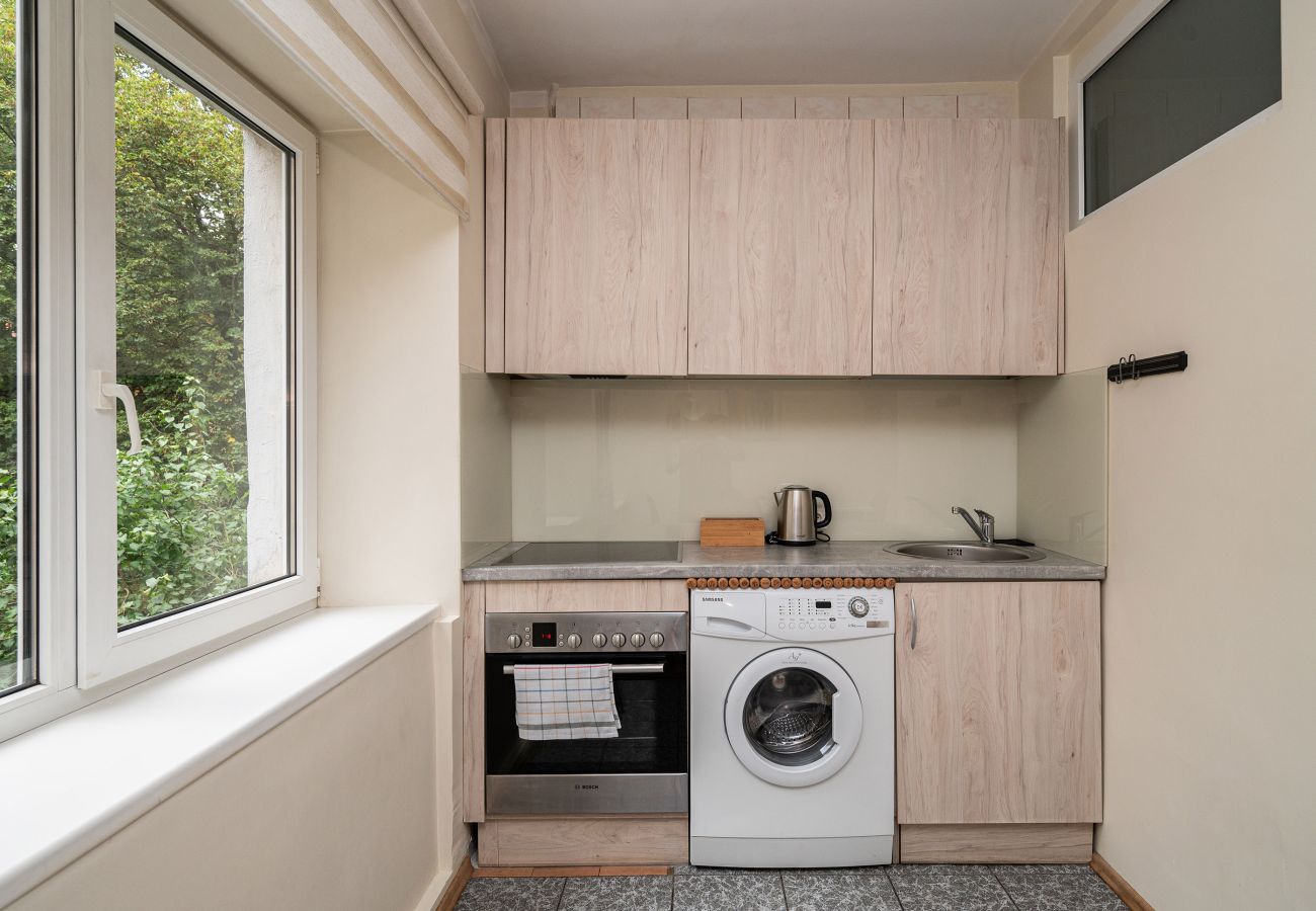 Leilighet i Vilnius - Central and Comfy 2 Bedroom Apartment 