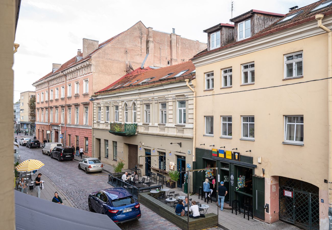 Leilighet i Vilnius - Central and Comfy 2 Bedroom Apartment 