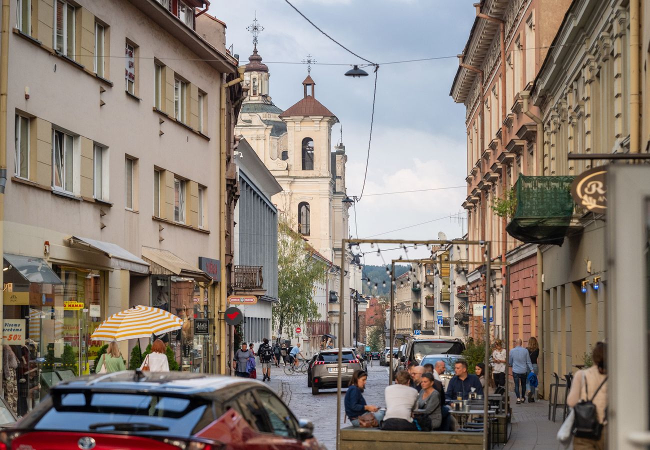 Leilighet i Vilnius - Central and Comfy 2 Bedroom Apartment 