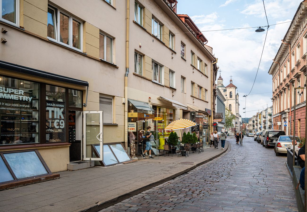 Leilighet i Vilnius - Central and Comfy 2 Bedroom Apartment 