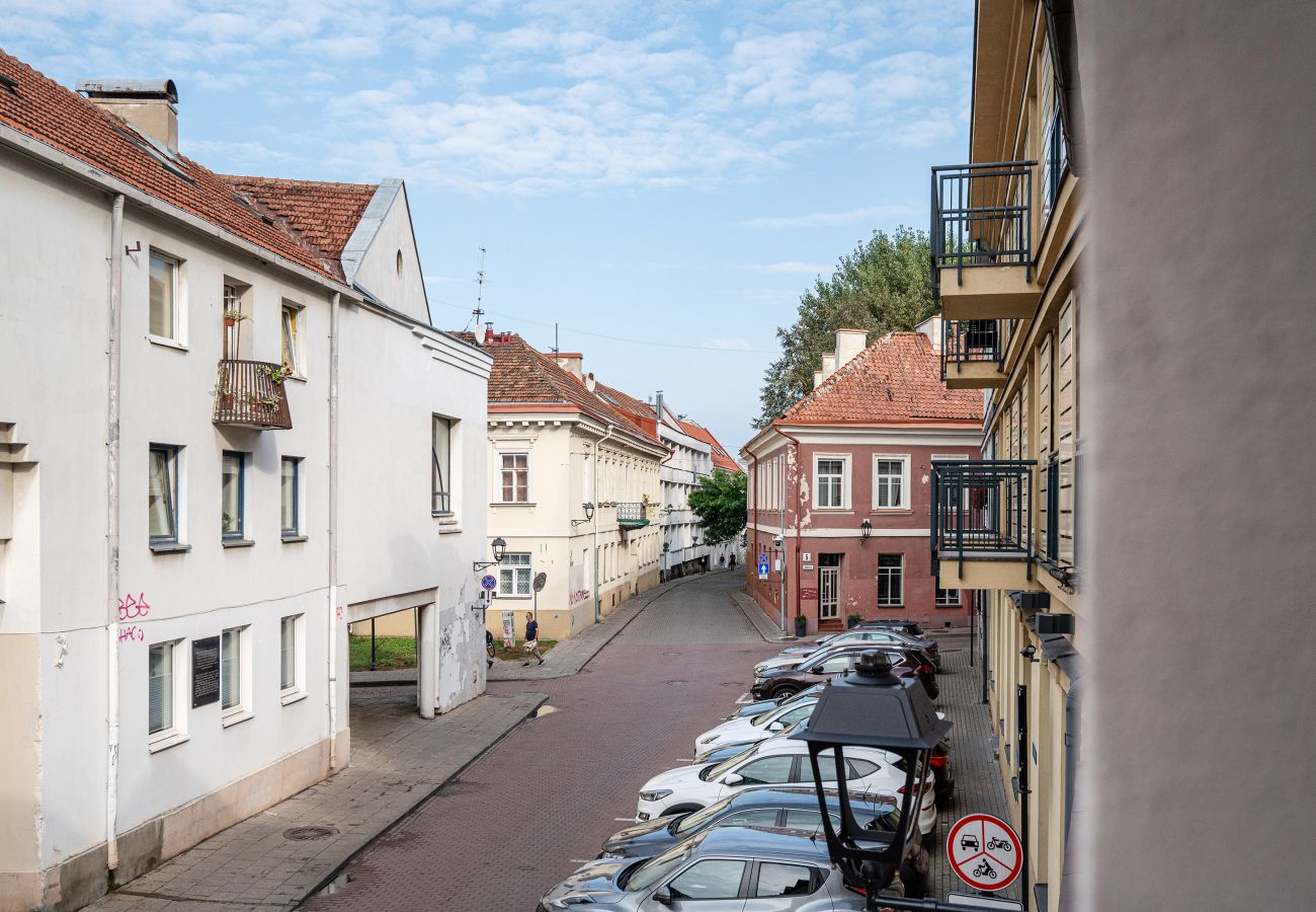Leilighet i Vilnius - Lovely 1 Bedroom Apartment