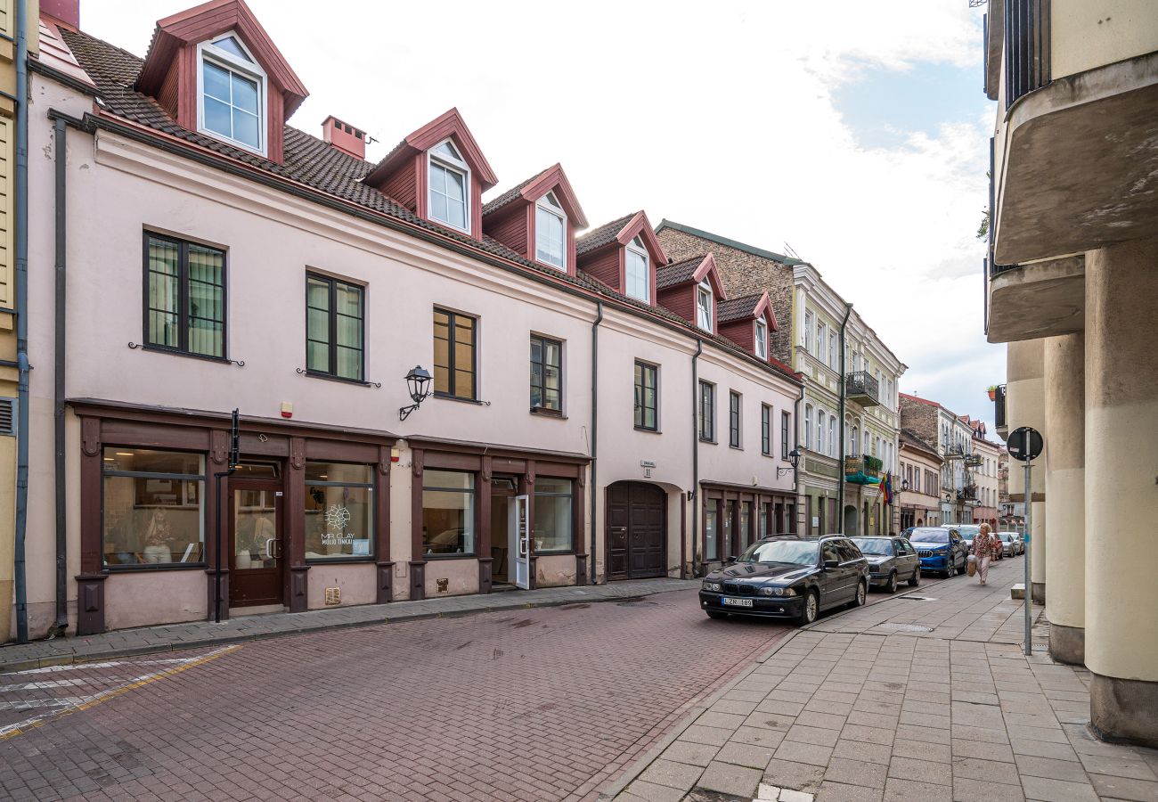 Leilighet i Vilnius - Lovely 1 Bedroom Apartment