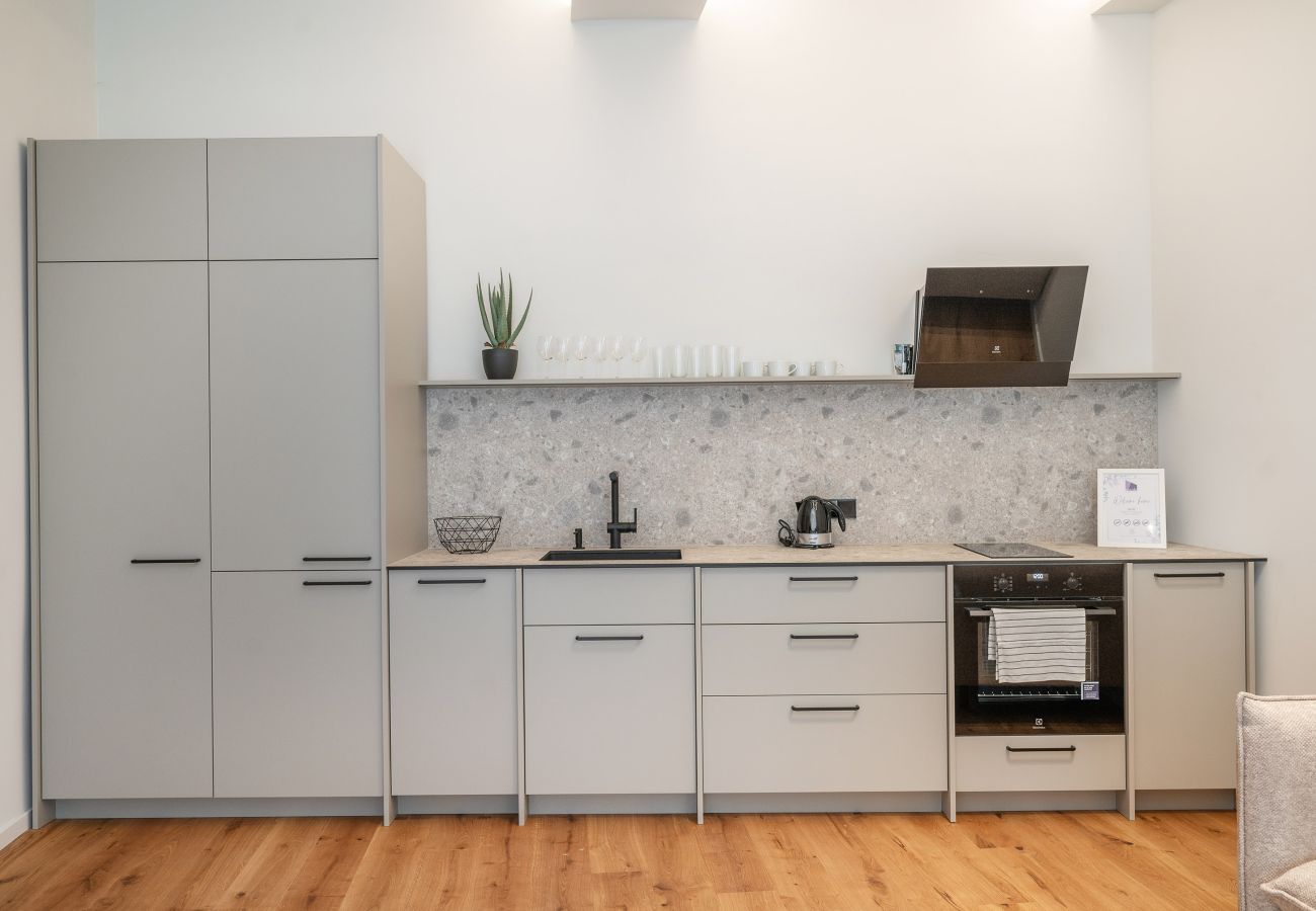 Leilighet i Vilnius - Newly Furnished Vilnius Town Hall Apartment 101