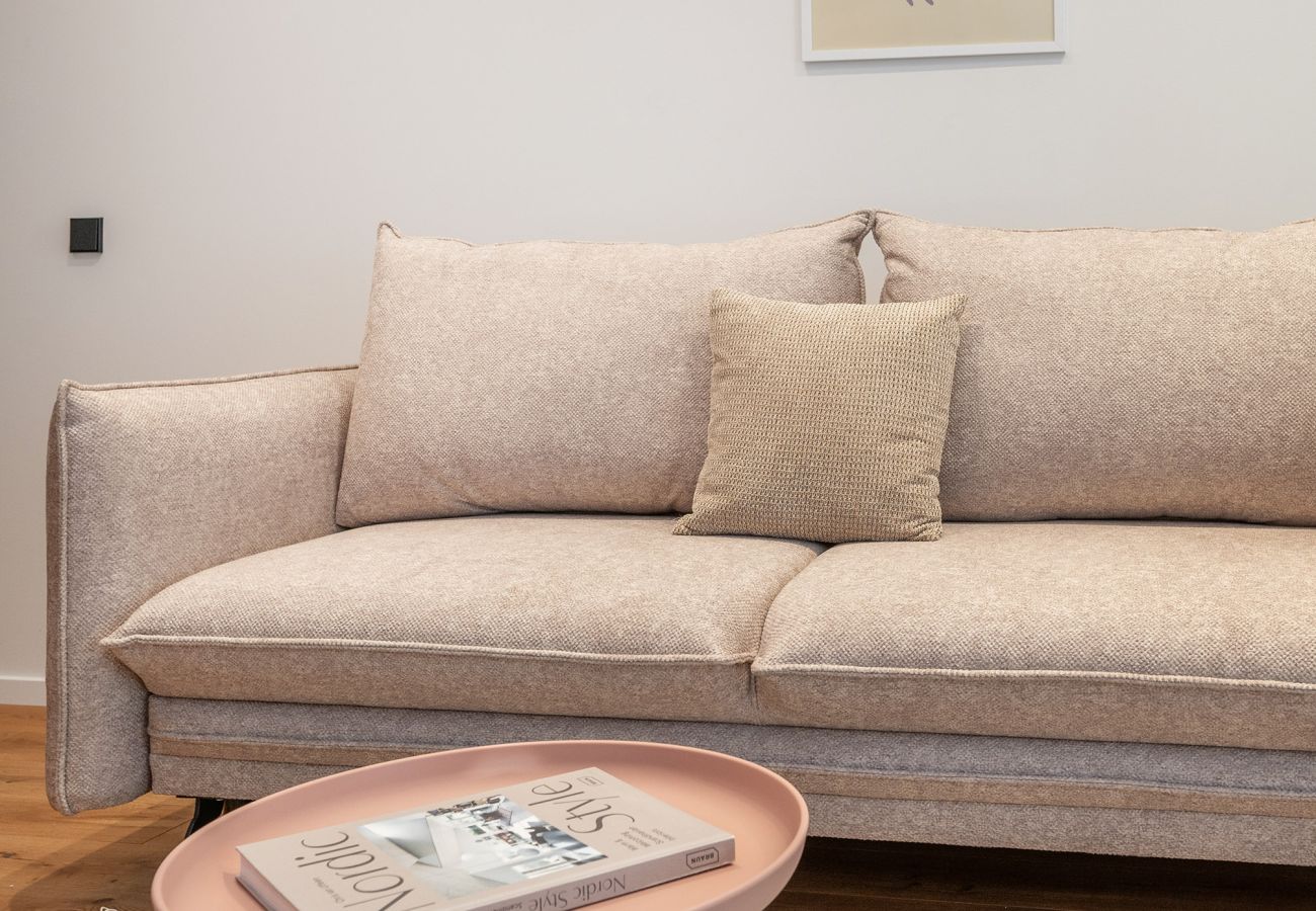 Leilighet i Vilnius - Newly Furnished Vilnius Town Hall Apartment 101