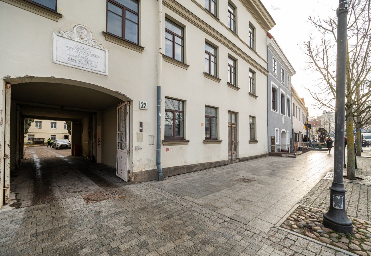 Leilighet i Vilnius - Newly Furnished Vilnius Town Hall Apartment 101