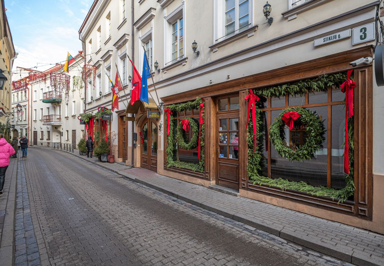 Leilighet i Vilnius - Newly Furnished Vilnius Town Hall Apartment 101