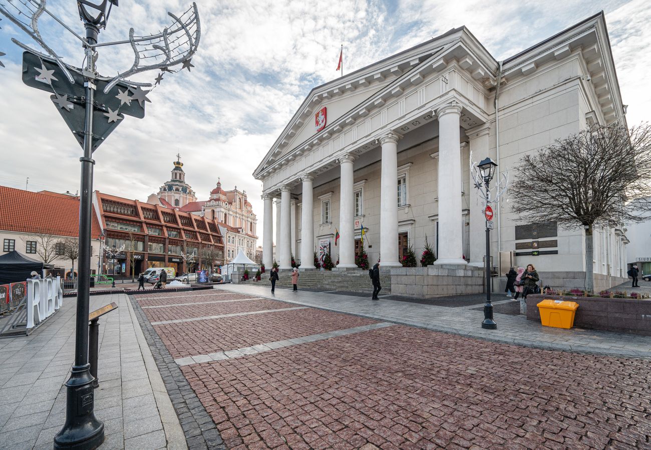 Leilighet i Vilnius - Newly Furnished Vilnius Town Hall Apartment 101