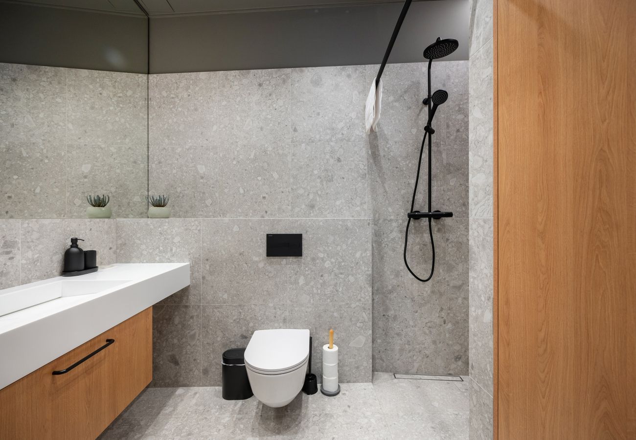 Leilighet i Vilnius - Newly Furnished Vilnius Town Hall Apartment 102