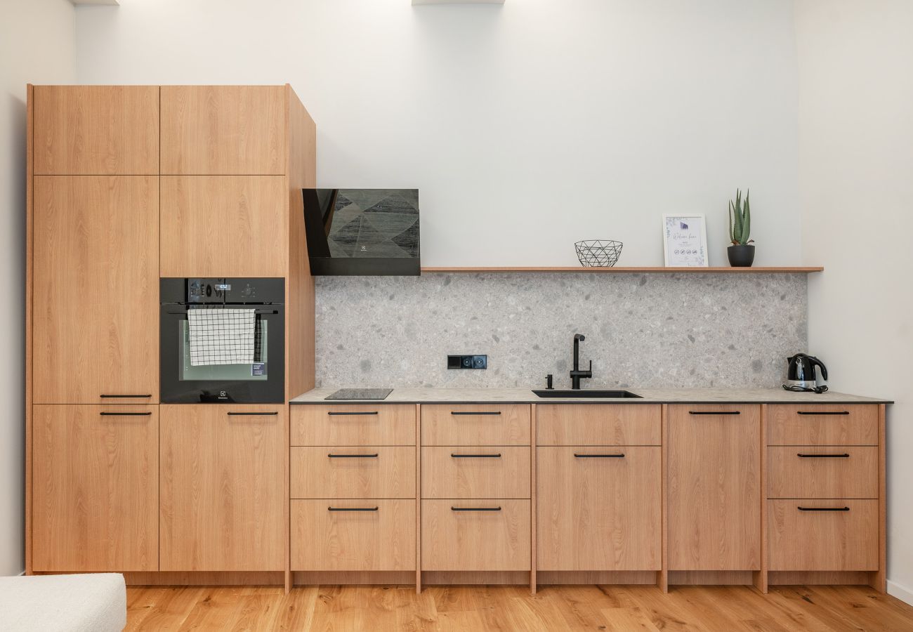 Leilighet i Vilnius - Newly Furnished Vilnius Town Hall Apartment 102