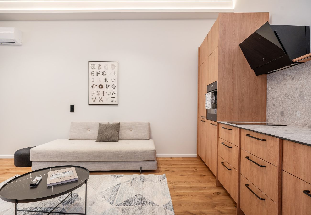 Leilighet i Vilnius - Newly Furnished Vilnius Town Hall Apartment 102