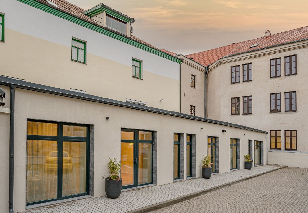 Leilighet i Vilnius - Newly Furnished Vilnius Town Hall Apartment 102