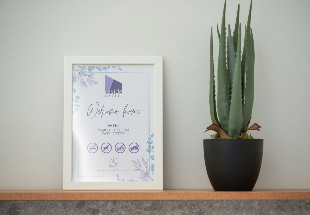 Leilighet i Vilnius - Newly Furnished Vilnius Town Hall Apartment 102