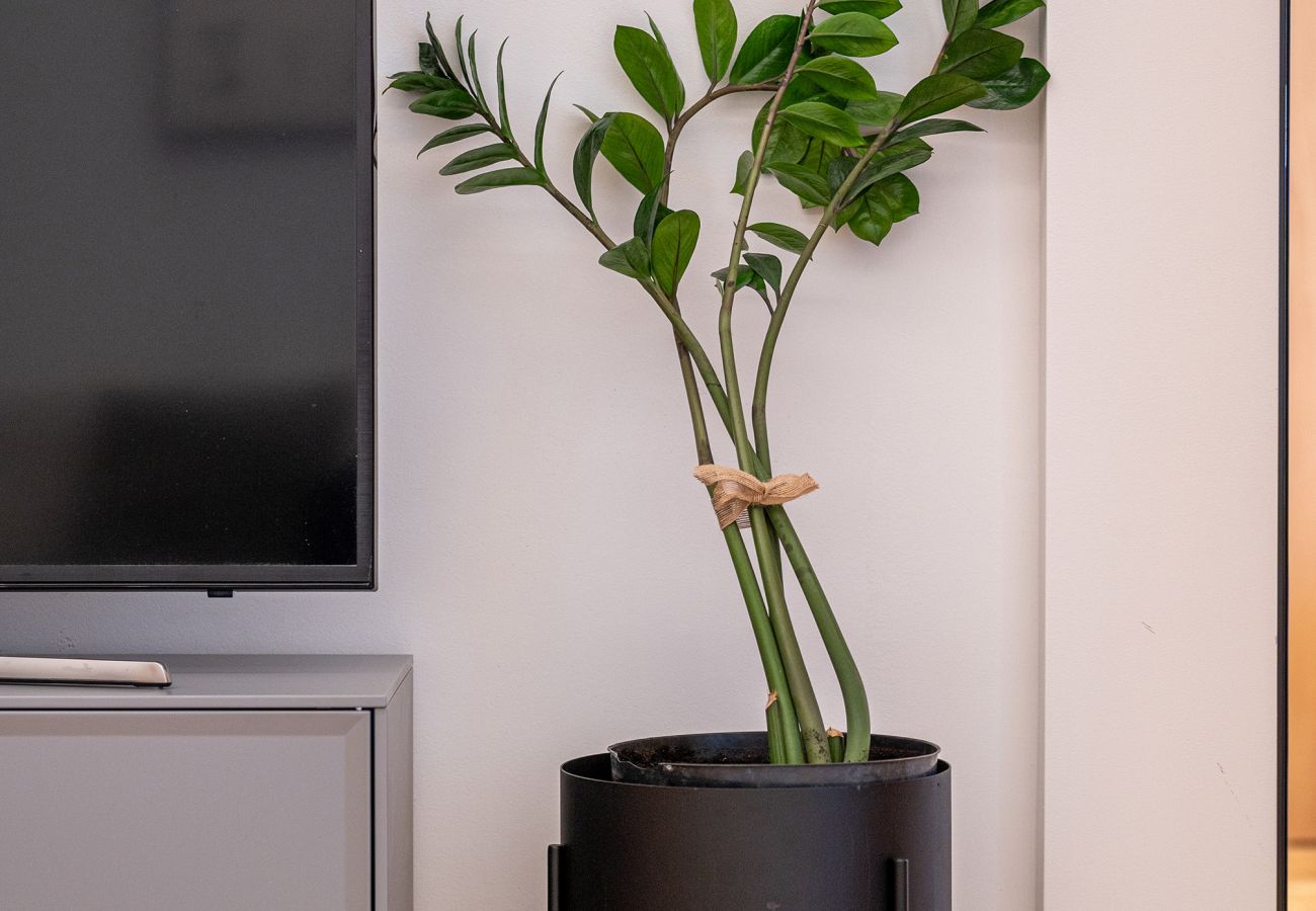 Leilighet i Vilnius - Newly Furnished Vilnius Town Hall Apartment 102