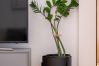 Leilighet i Vilnius - Newly Furnished Vilnius Town Hall Apartment 102