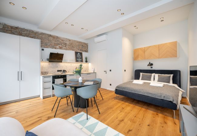 Leilighet i Vilnius - Newly Furnished Vilnius Town Hall Apartment 103