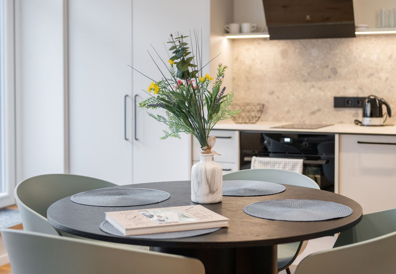 Leilighet i Vilnius - Newly Furnished Vilnius Town Hall Apartment 103