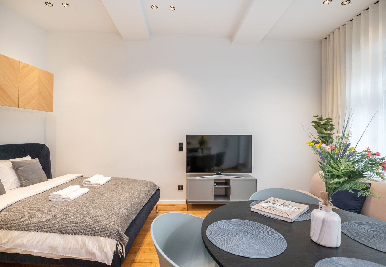 Leilighet i Vilnius - Newly Furnished Vilnius Town Hall Apartment 103