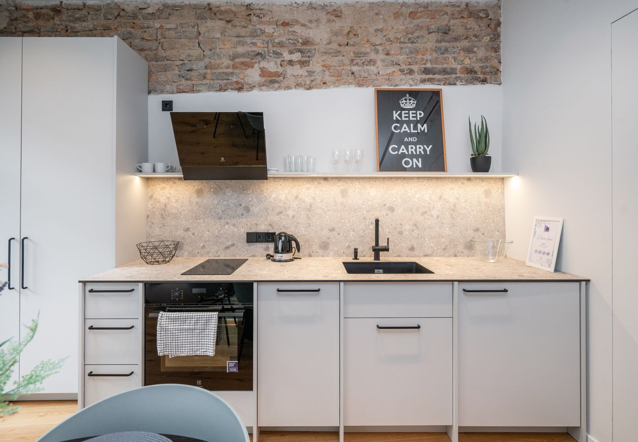 Leilighet i Vilnius - Newly Furnished Vilnius Town Hall Apartment 103
