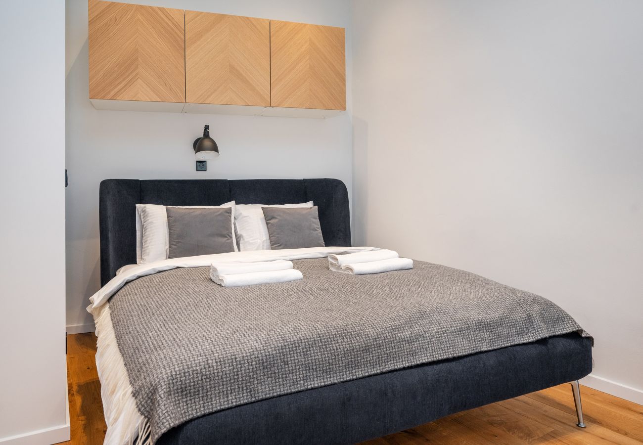 Leilighet i Vilnius - Newly Furnished Vilnius Town Hall Apartment 103