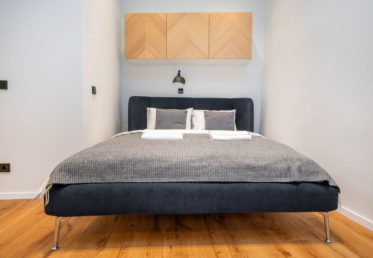 Leilighet i Vilnius - Newly Furnished Vilnius Town Hall Apartment 103