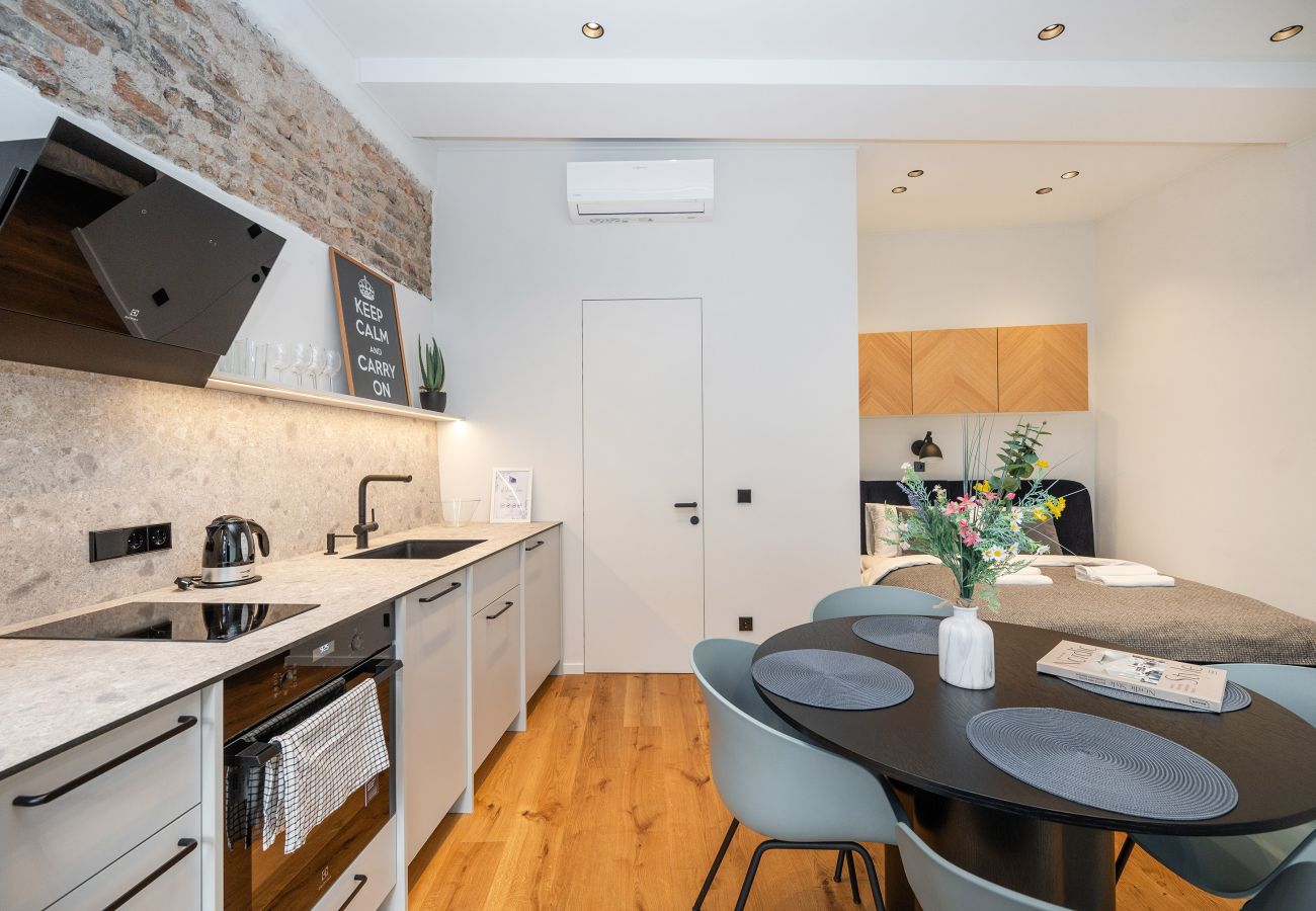 Leilighet i Vilnius - Newly Furnished Vilnius Town Hall Apartment 103