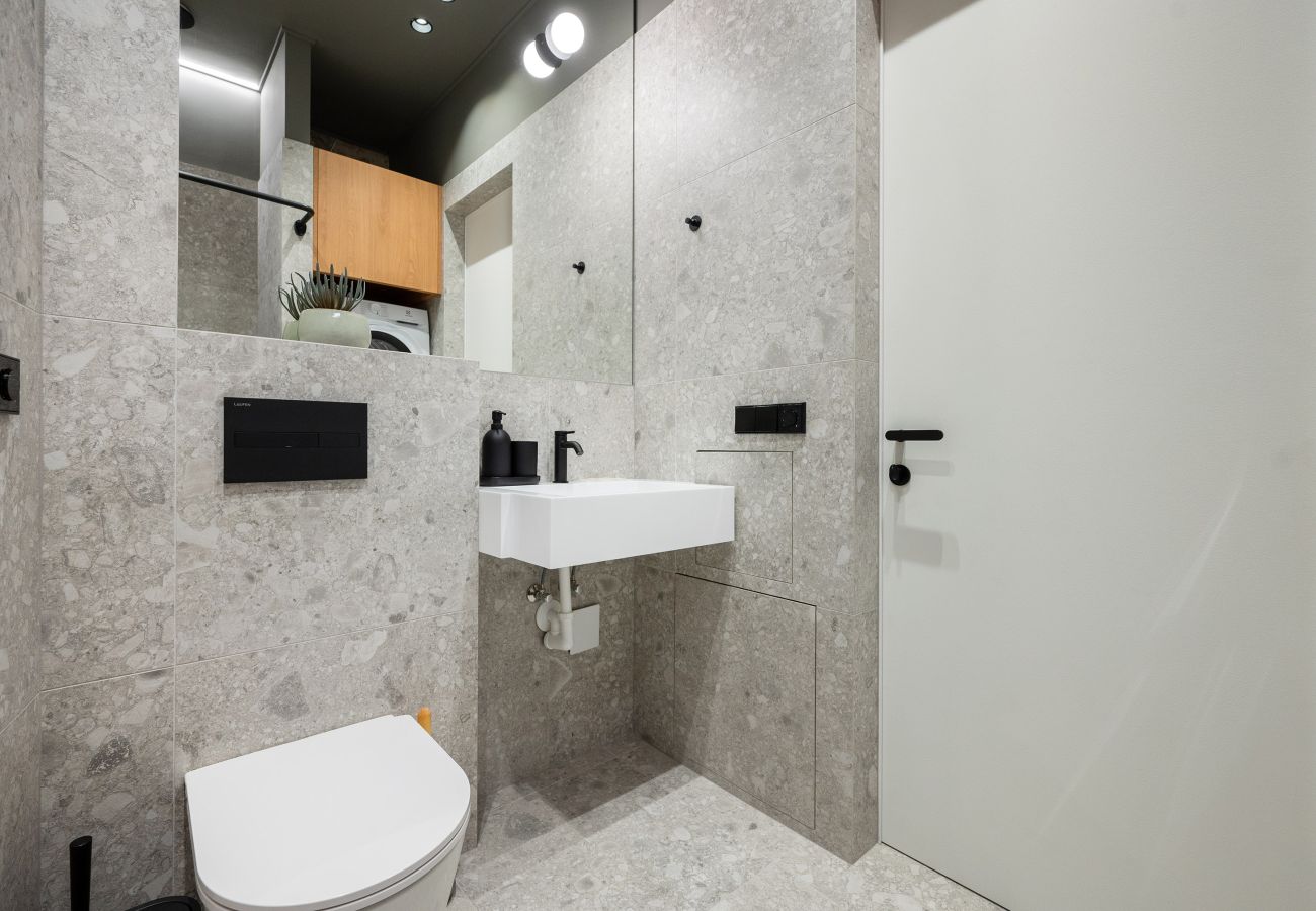 Leilighet i Vilnius - Newly Furnished Vilnius Town Hall Apartment 103