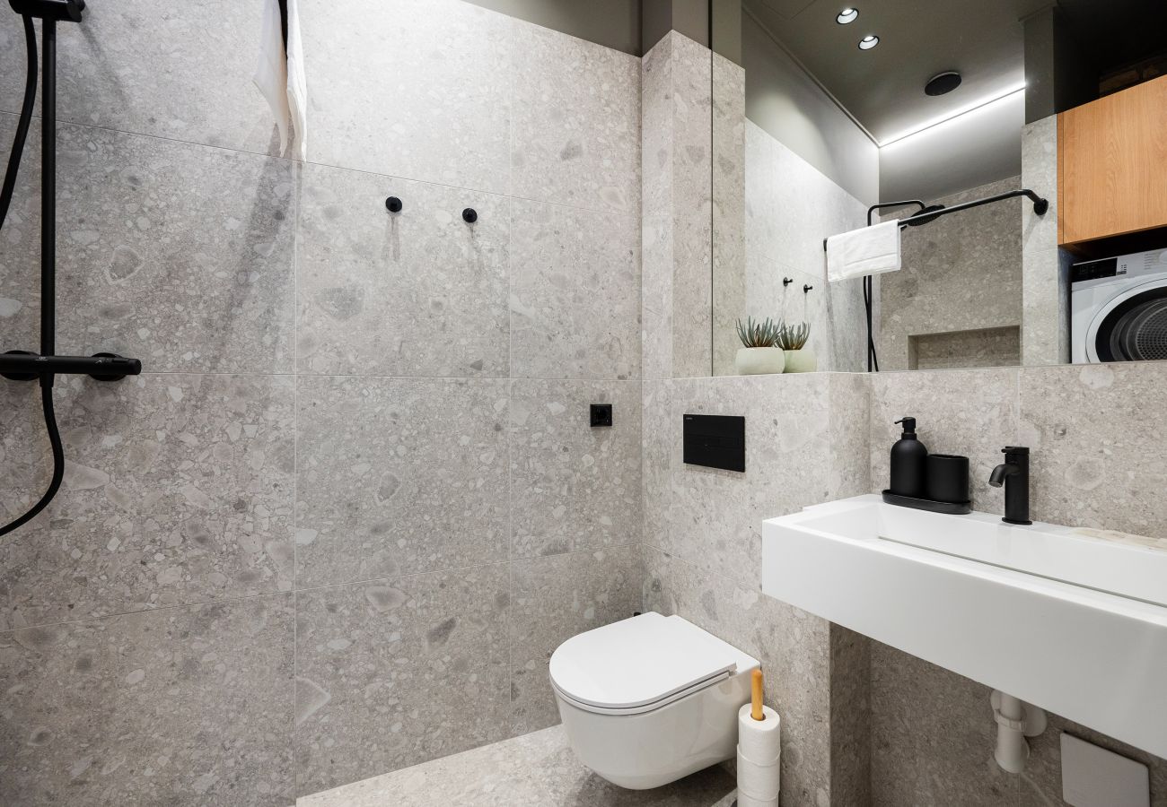 Leilighet i Vilnius - Newly Furnished Vilnius Town Hall Apartment 103