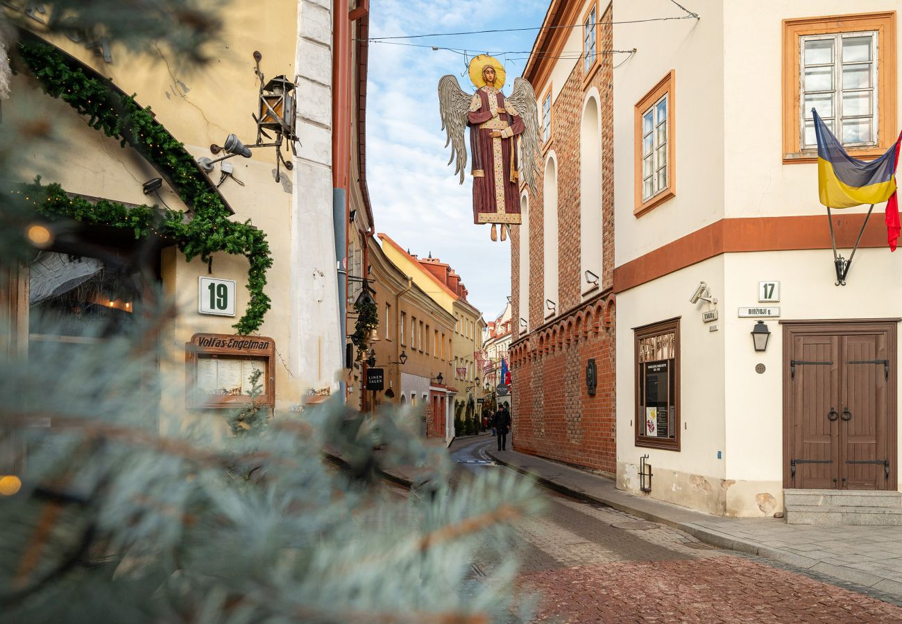 Leilighet i Vilnius - Newly Furnished Vilnius Town Hall Apartment 103