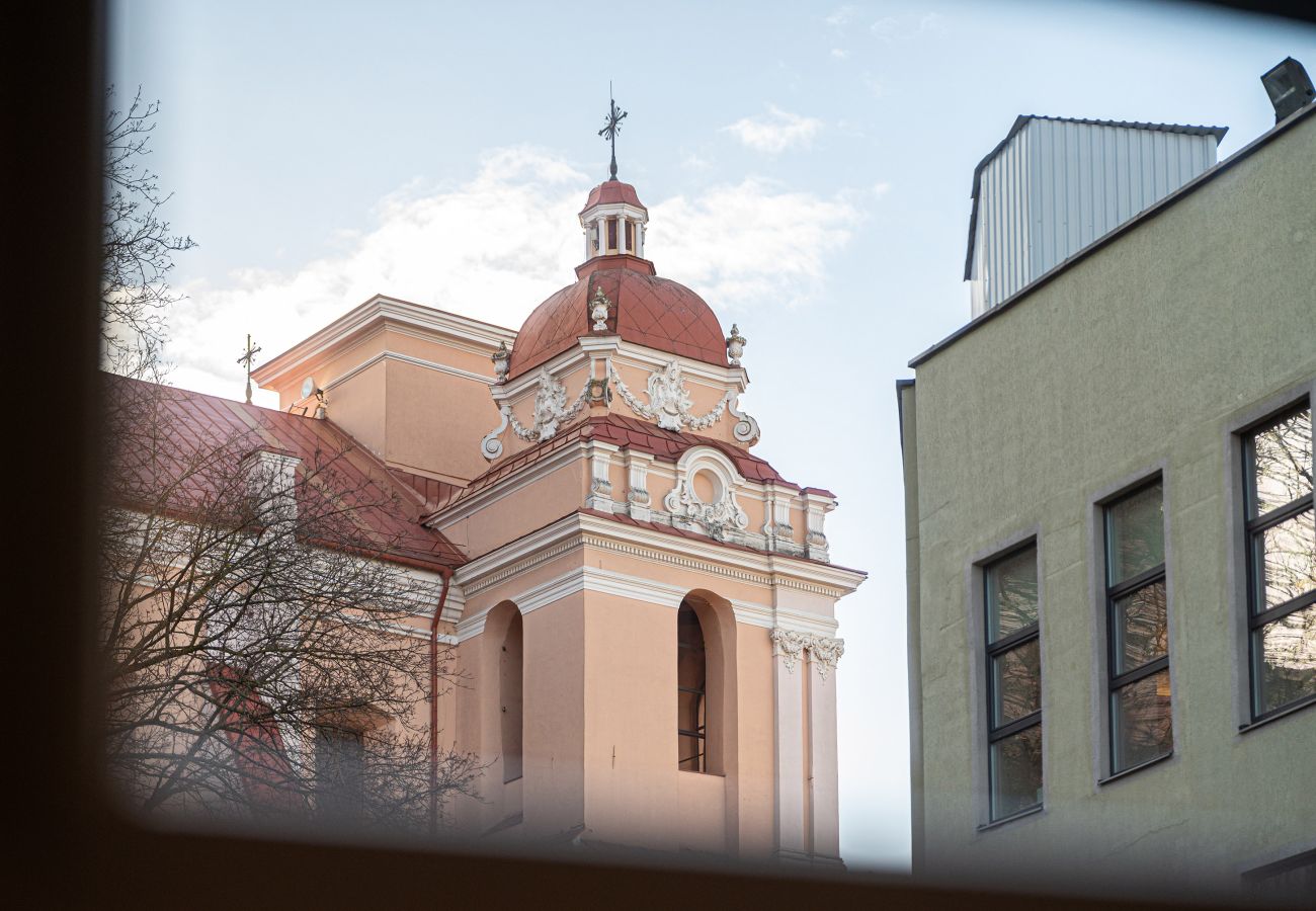 Leilighet i Vilnius - Newly Furnished Vilnius Town Hall Apartment 103