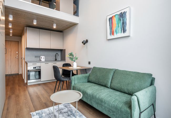 Studioleilighet i Vilnius - Brand New Urban Loft 47
