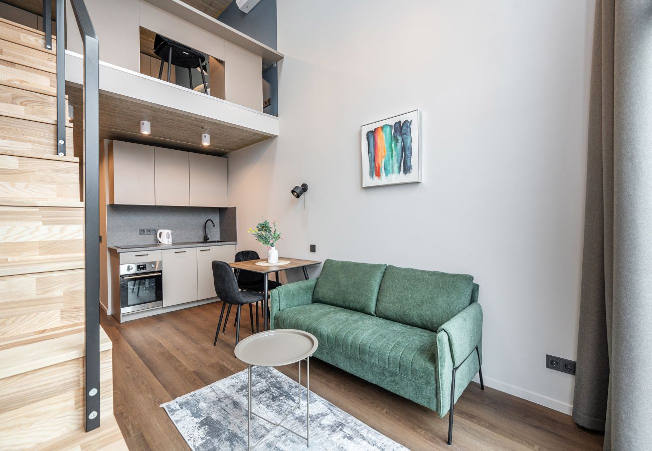 Studioleilighet i Vilnius - Brand New Urban Loft 47
