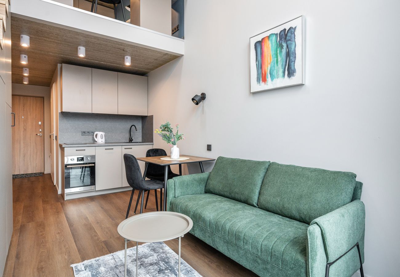 Studioleilighet i Vilnius - Brand New Urban Loft 47