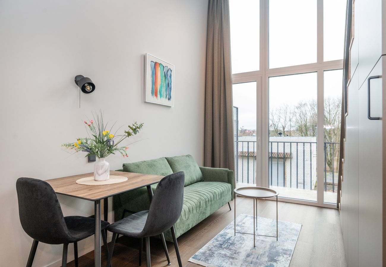 Studioleilighet i Vilnius - Brand New Urban Loft 47