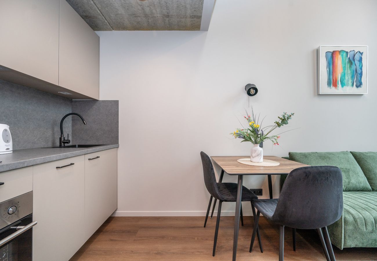 Studioleilighet i Vilnius - Brand New Urban Loft 47