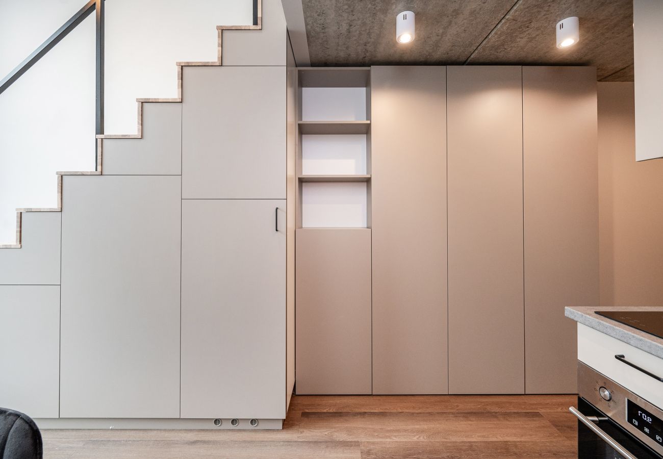 Studioleilighet i Vilnius - Brand New Urban Loft 47