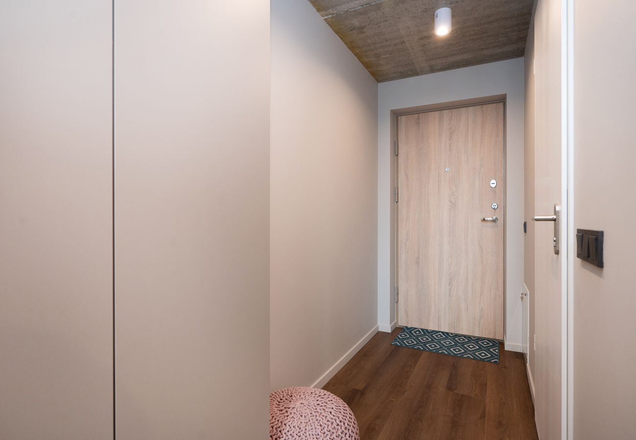 Studioleilighet i Vilnius - Brand New Urban Loft 47