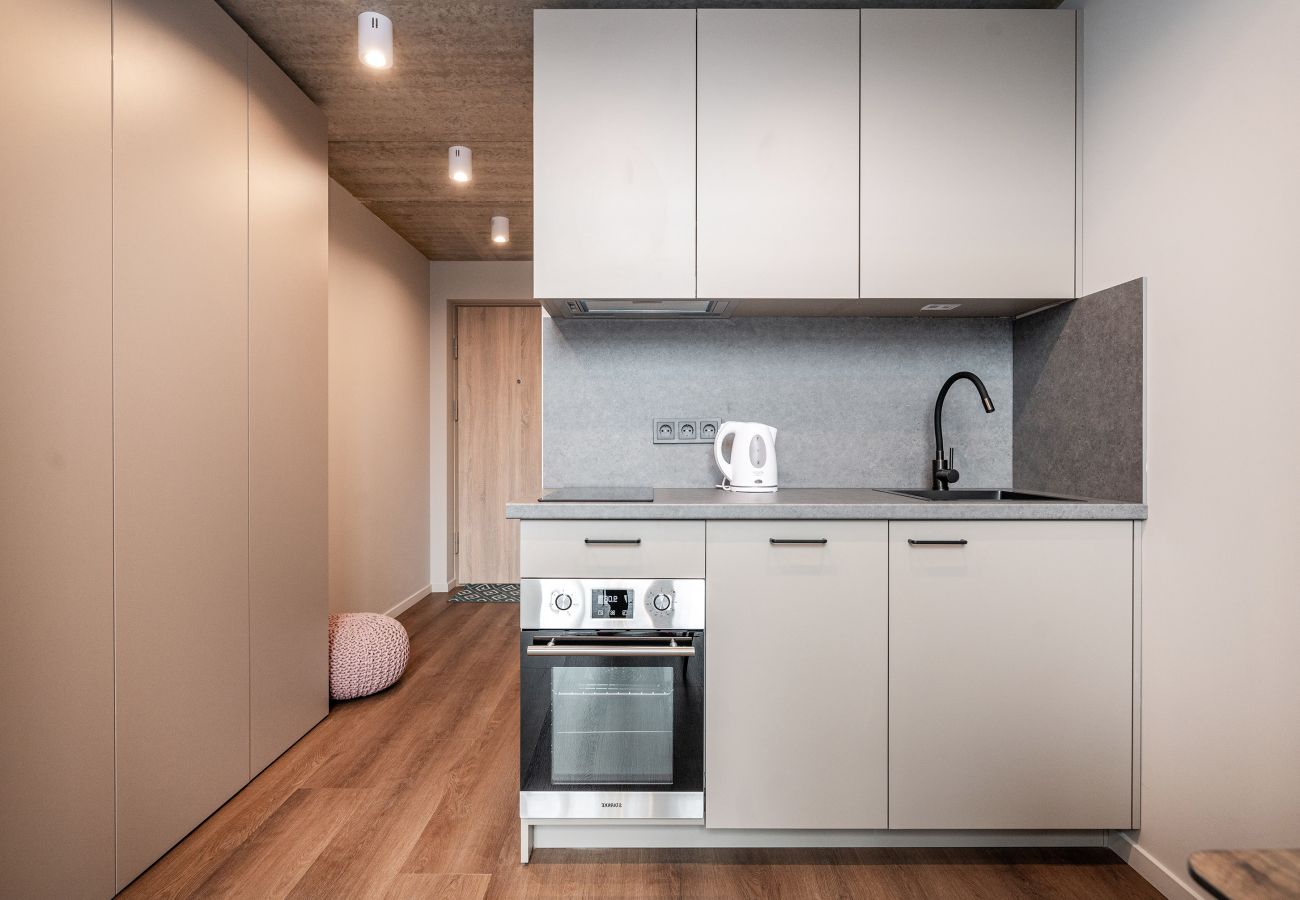 Studioleilighet i Vilnius - Brand New Urban Loft 47