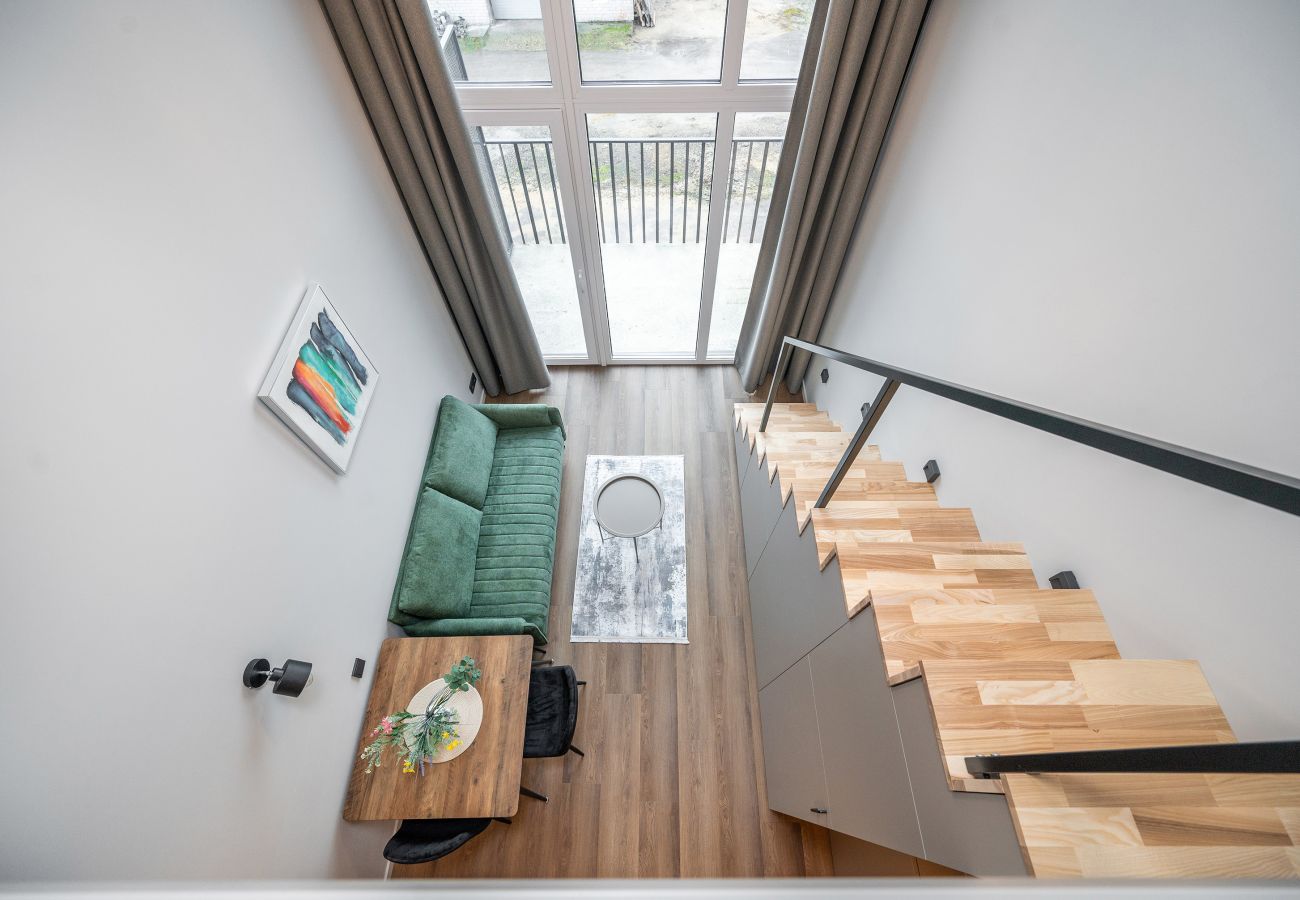 Studioleilighet i Vilnius - Brand New Urban Loft 47