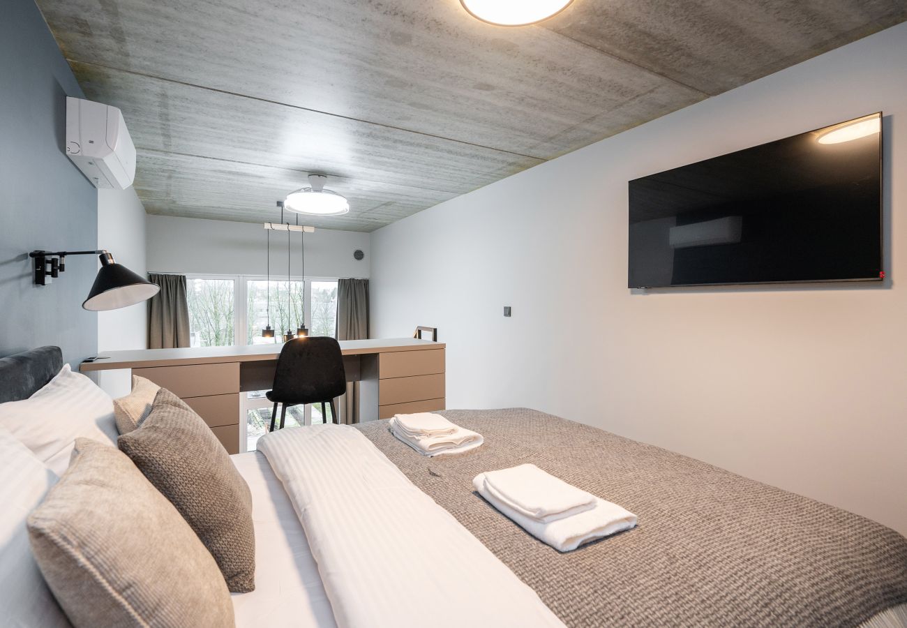 Studioleilighet i Vilnius - Brand New Urban Loft 47
